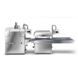 Automatic vacuum packaging machine with infeed conveyor