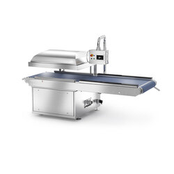 Automatic vacuum packaging machine with infeed conveyor